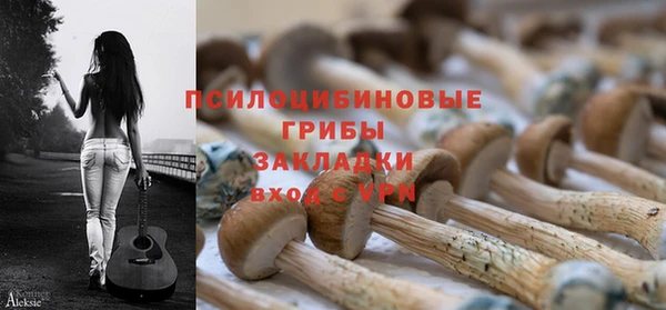 МДПВ Армянск