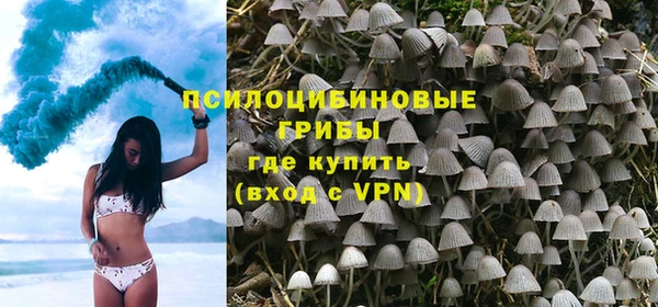МДПВ Армянск