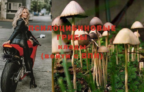 мяу мяу мука Аркадак