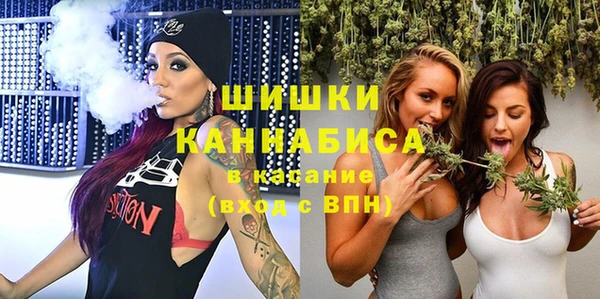 мяу мяу мука Аркадак